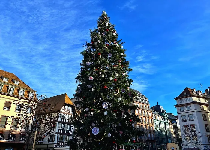 Appartamento Au Coeur Du Centre Historique De Strasburgo